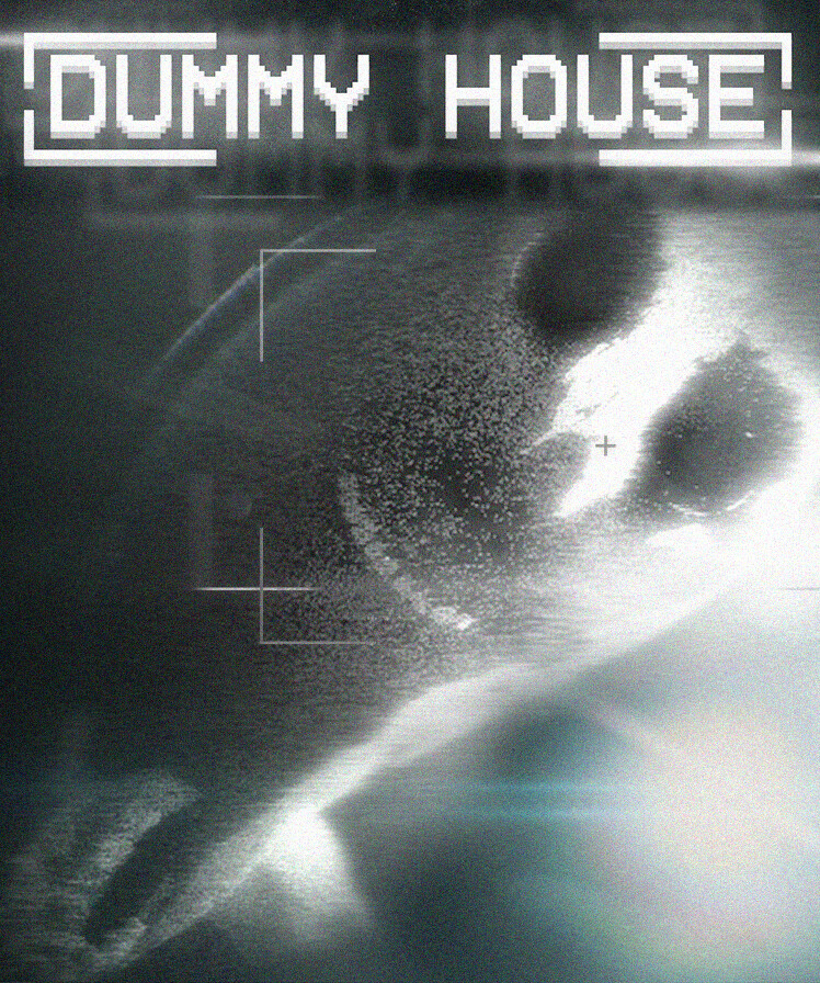 DUMMY HOUSE promotional artwork